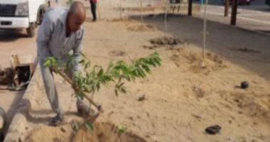 زارعة 30396 شجرة بالإسكندرية منذ بدء تنفيذ مبادرة 100 مليون شجرة.. صور