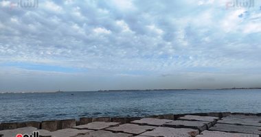 طقس الإسكندرية اليوم.. غيوم وسحب منخفضة على المحافظة.. صور