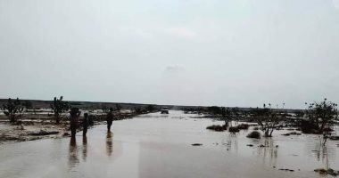 سقوط أمطار على مدن جنوب البحر الأحمر وهدوء فى حالة الطقس بمدن الشمال.. صور