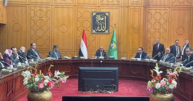 محافظ الإسماعيلية لوفد "صحة النواب": نبذل قصارى جهدنا لخدمة المنظومة الطبية