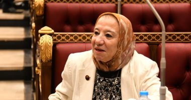 نائب بـ"حقوق إنسان الشيوخ": تقارير البرلمان الأوروبى معلبة ومسيسة وتدخل سافر فى الشأن الداخلى