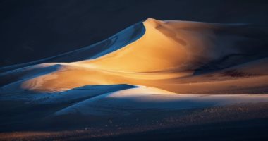 سحر الحياة البرية.. اللقطات الفائزة بمسابقة المناظر الطبيعية لعام 2022