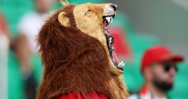 بلجيكا ضد المغرب.. الشياطين والأسود فى مدرجات مباراة المغرب وبلجيكا "صور"