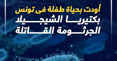 أودت بحياة طفلة فى تونس.. بكتيريا الشيجيلا.. الجرثومة القاتلة (إنفوجراف)