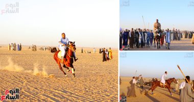 مرماح الخيول.. هنا يتنافس أبناء القبائل العربية.. "بنبان" تستضيف 200 فارس على لقب  أفضل خيل رماح.. بيسو ورعيد والإنجليزى ومخيف" الأبرز .. خيام وولائم ومشروبات للضيوف.. والفعالية فرصة لتلاقى الشعوب.. صور