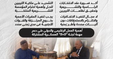 يجب خروج المرتزقة من ليبيا.. شكرى يلتقى باتيلى والأمم المتحدة تشيد بدور مصر البنّاء والمحورى