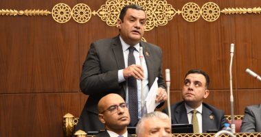 أكمل نجاتى نائب التنسيقية يطالب بحل مشكلة نقص العمالة بالمحاكم