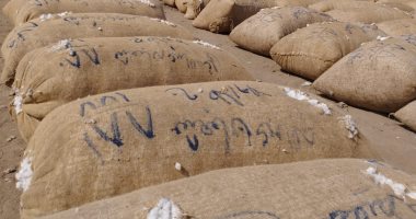 ارتفاع سعر قنطار القطن لـ5000 جنيه فى سابع مزاد علنى بالشرقية
