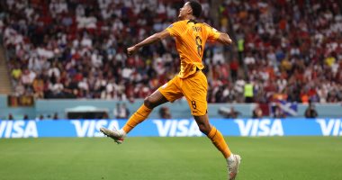 كأس العالم قطر 2022.. هولندا تتفوق على قطر 1-0 بالشوط الأول "فيديو وصور"