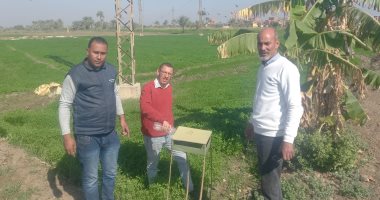 كيف تهتم "زراعة الفيوم" بالمحاصيل الشتوية؟.. جولات متابعة ميدانية للمسؤولين بالحقول.. صرف الأسمدة بشكل منتظم.. زراعة القمح على المصاطب لزيادة الإنتاجية وتوفير مياه الري.. وإرشاد المزارعين ببرنامج مكافحة الآفات