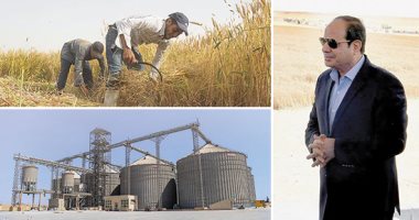 بتوجيهات الرئيس السيسى.. قصة نجاح الدولة المصرية فى تخطى أزمة القمح العالمية خلال جائحة كورونا والحرب الروسية الأوكرانية.. المشروع القومى لإنشاء الصوامع سلاح الدولة فى الحفاظ على "سنابل الذهب"