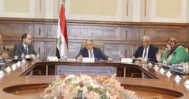 "محلية النواب" تناقش الرقابة على تركيب أبراج وشبكات المحمول على أسطح العقارات