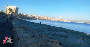 تعرف على أهم مشروعات حماية الشواطئ باستخدام حلول معتمدة على الطبيعة