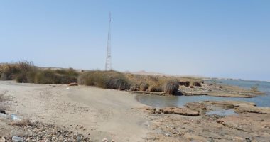 ماذا تفعل السيول عندما تصل خلجان البحر الأحمر ؟.. التربه الرملية تكون حشائش تتغذى عليها الكائنات البحرية.. حيوان الدوجونج والسلاحف الخضراء أبزر الكائنات البحرية.. مرسى مبارك وأبو دباب ورأس بغدادي الأشهر.. صور 