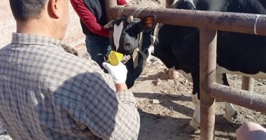 فحص 105 حيوانات و5308 طيور خلال قافلة بيطرية بقرى الغربية