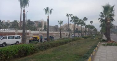 تطوير ورفع كفاءة حدائق المحور السياحى والحرمين بمبادرة "100 مليون شجرة" بالإسكندرية