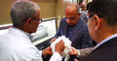 قطاع الأعمال: بيع 890 ألف قنطار ضمن منظومة تداول القطن حتى الآن