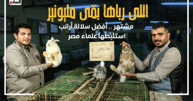 "صندوق محسوب" يرصد نجاح جامعة بنها فى استنباط "فراخ بنها" و"أرانب مشتهر".. مشروعان بحثيان استغرقا سنوات لتحسين السلالة.. الأولى أحدث أنواع الدواجن فى مصر وتنتج 245 بيضة.. والثانية مقاومة للحرارة ووصلت للعالمية