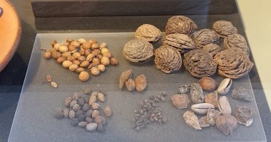 العثور على وجبات خفيفة وبقايا عظام حيوانات عمرها 1900 عام في المجاري بروما