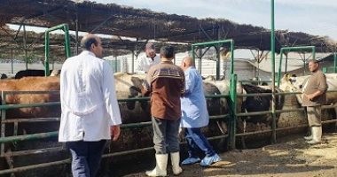 بيطري الشرقية يحصن 121 ألفا و746 رأس ماشية ضد "الحمى القلاعية والوادى المتصدع"