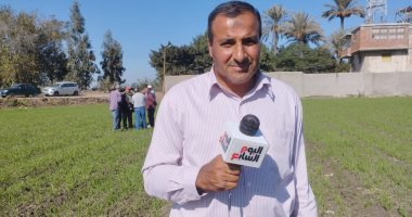 باحث بمعهد بحوث الهندسة الزراعية: زراعة القمح بالمصاطب توفر المياه بنسبة 25 لـ30%