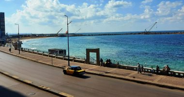 قبل بداية الشتاء.. طبيعة ساحرة وأجواء خريفية دافئة فى الإسكندرية