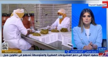 أستاذ اقتصاد: الدولة أنشأت صندوقا لدعم الصادرات وخفضت الضريبة الجمركية