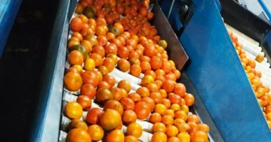 وزير الزراعة: صادرات الموالح تتخطى حاجز المليون و900 ألف طن لأول مرة