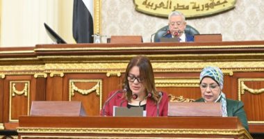 طاقة النواب: اتفاقيات التنقيب عن البترول بالصحراء الغربية لتعظيم الإنتاج