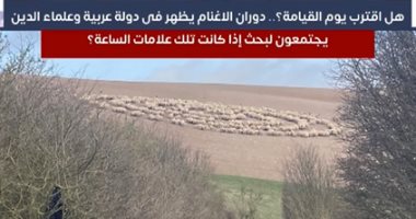 ظاهرة دوران الأغنام حول نفسها وجدل بين العلماء.. تغطية خاصة من تلفزيون اليوم السابيع 