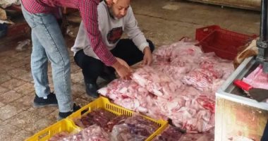 "صحة أسوان" تضبط وتعدم سلعا غذائية منتهية الصلاحية في 265 منشأة.. صور