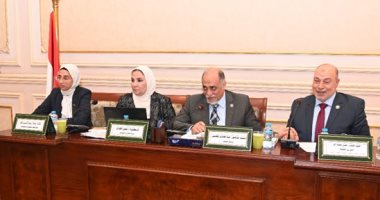 نائبة عن التنسيقية لوزيرة التضامن: لماذا لم يقوم بنك ناصر بعمل سيارات كما يفعل البريد لدعم المواطنين