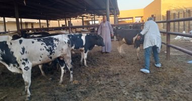 الهدف حماية الثروة الحيوانية.. تواصل عمل الحملة القومية الثالثة لتحصين المواشى ضد الحمى القلاعية والوادى المتصدع.. الطب البيطرى: تحصين 16 ألفا و981 رأس ماشية بالأقصر.. و38 ندوة توعوية لأصحاب مزارع المواشي.. صور