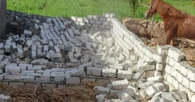 مدينة الزينية تواصل حملات إزالة التعديات على الأراضى الزراعية