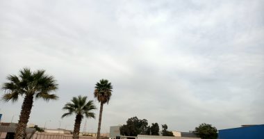 شمس ساطعة على جميع أنحاء محافظة المنوفية