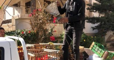  حملة مكبرة على عربات الكارو وميكروفونات الباعة الجائلين برأس البر 