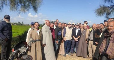 "زراعة الشرقية": تنفيذ 6 مدارس حقلية لتوعية بالطريقة الصحيحة لتسميد.. صور