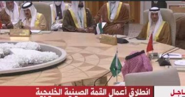 الرئيس الصينى: سنعمل على إنشاء المركز الخليجى الصينى للأمن النووى