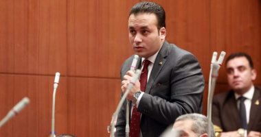 النائب عمرو فهمى: القمة العربية الصينية تساهم فى تعزيز آليات العمل المشترك