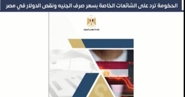 حقائق وأرقام.. ماذا قالت الحكومة ردًا على شائعات سعر صرف الجنيه (فيديو)