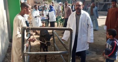 قافلة بيطرية لعلاج الماشية والطيور بقريتى أولاد عمر والأشراف فى قنا.. صور