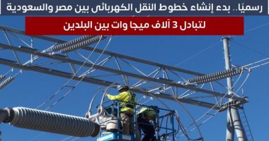 بدء إنشاء خطوط النقل الكهربائى بين مصر والسعودية لتبادل 3 آلاف ميجا وات.. فيديو