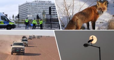 العالم هذا الصباح.. لقطات مذهلة للحيوانات البرية رصدتها الكاميرا فى 2022.. مقتل 3 أشخاص وفقدان آخرين في انفجار وحريق بجزيرة جيرزي البريطانية.. وعراقى يشتبك مع "إرهابيين" ويردي اثنين منهم قبل مقتله