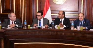 وزير الصحة يستعرض خطة تطوير منظومة الخدمات الصحية بمجلس الشيوخ 