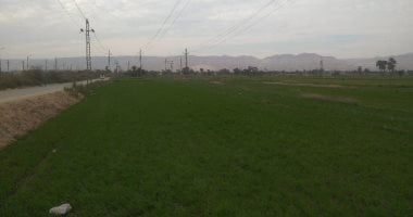 طقس قنا.. معتدل نهارا ومائل للبرودة ليلا والعظمى تسجل 28 درجة
