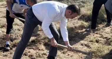 عميد تربية رياضية بالإسكندرية يشارك فى زرع الأشجار فى مبادرة "كليتنا خضراء"