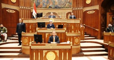 خارجية الشيوخ تبحث تنظيم مسابقة إبداعية للمصريين بالخارج لدعم قوة مصر الناعمة