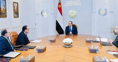 الرئيس السيسي يوجه بسرعة استكمال التغذية الكهربائية الإضافية للدلتا الجديدة