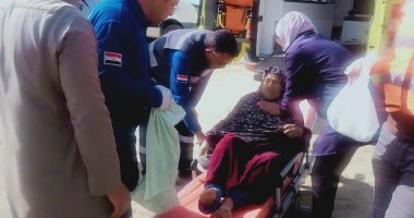 القافلة الطبية بفايد في الإسماعيلية تستقبل 500 مواطن في أول أيامها.. صور