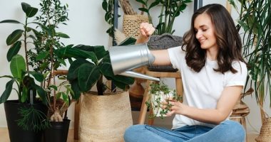 7 نصائح يجب معرفتها قبل اصطحاب النباتات إلى المنزل 